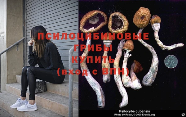 тгк Кукмор