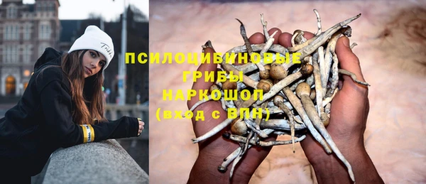 ГАЛЛЮЦИНОГЕННЫЕ ГРИБЫ Куйбышев