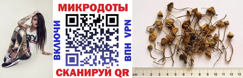 Галлюциногенные грибы Cubensis  Ханты-Мансийск 