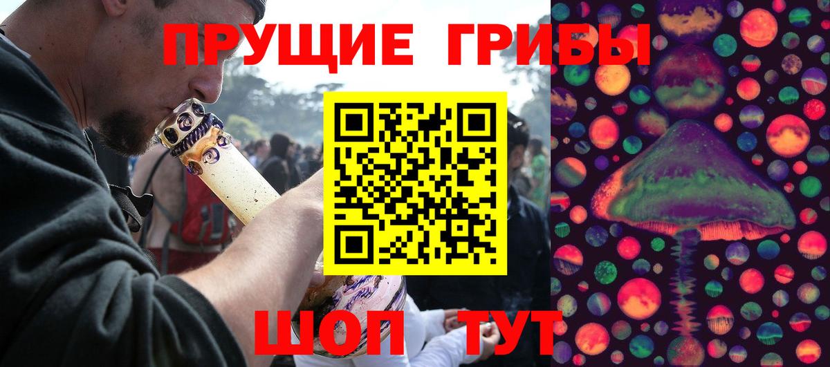 Галлюциногенные грибы Psilocybe Ханты-Мансийск